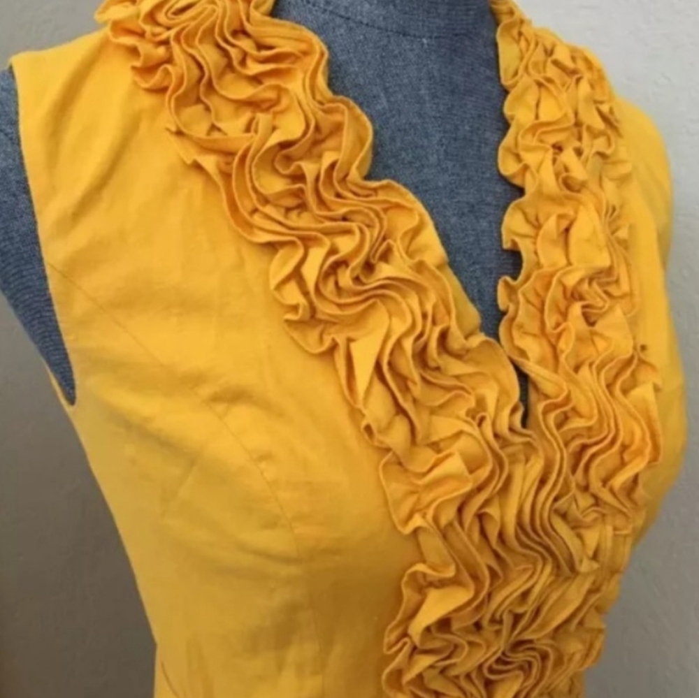 Cache Golden Yellow Ruffle Midi Dress Size 12 • Romantic Vintage-Inspired Style - Picture 6 of 13